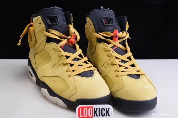 Reps LUCY YELLOW X JORDAN SCOTT AIR 6 CN1084-300 TRAVIS 0511